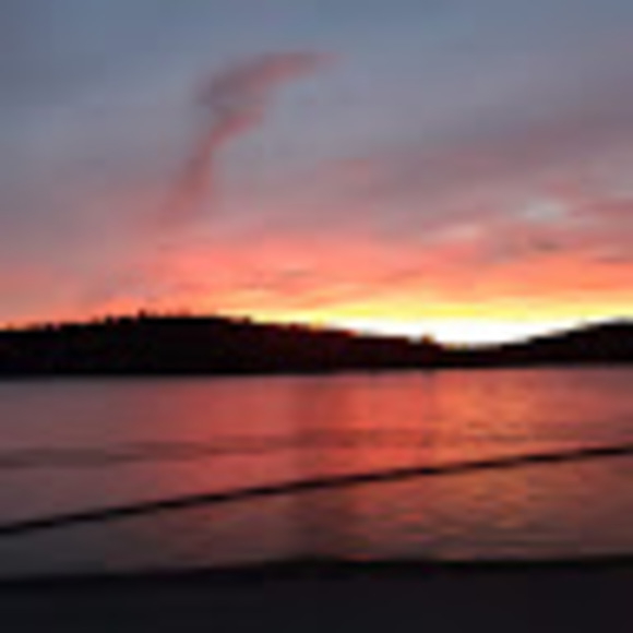 Meet your Posher, Chantal - Picture 1 of 1